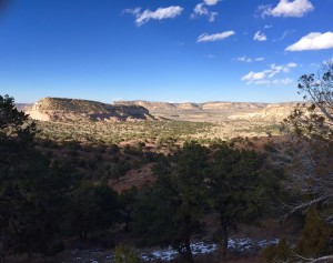 New Mexico vista