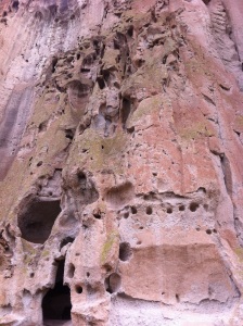 Bandelier green wall